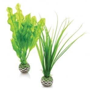 biOrb plantenset S groen (46055)