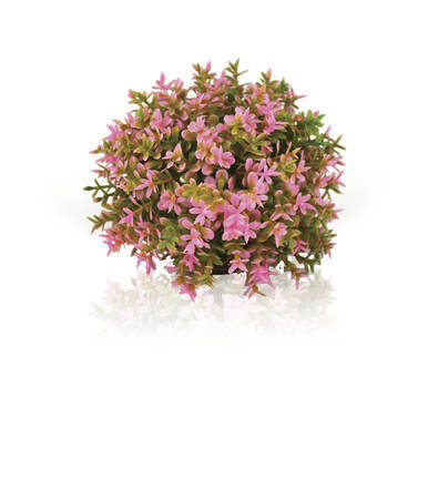 biOrb bloemenbal roze (46088)
