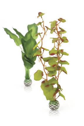 biOrb zijden plantenset M groen (46100)