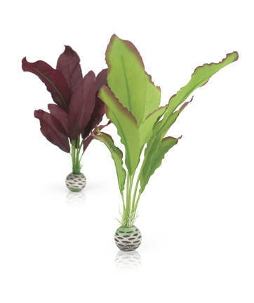 biOrb zijden plantenset M groen & paars (46101)