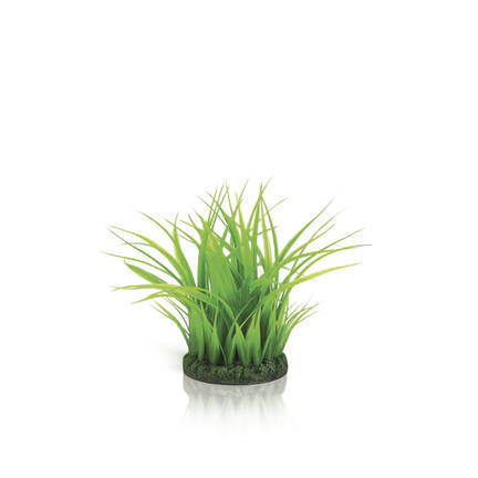 biOrb kleine grasring groen (46103)