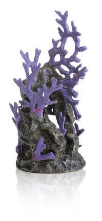 biOrb koraalrif ornament paars (46131)