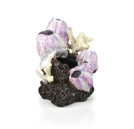 biOrb eendenmossel ornament klein roze (46145)