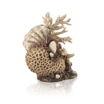 biOrb koraal & schelpen ornament naturel (48360)
