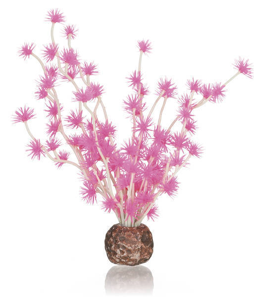 biOrb Bonsai bal roze (55067)