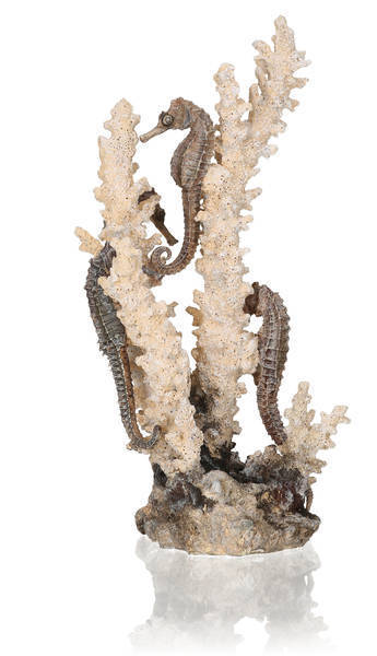 biOrb seahorses on coral natural M (55039)